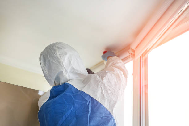 Best Biohazard Mold Removal  in USA